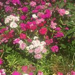 Terri Goodenough - @terrigoodenough - Instagram
