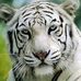 Terry Gosa - Facebook