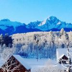 Terry Gott Gott - @terrygottgott - Instagram