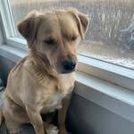 Terry Grams - @tjgrams62 - Instagram