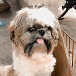 @terry_gramss - Instagram