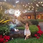 Terry Greco - Facebook