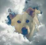Terry Greco - Facebook
