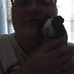 Terry Clover Monica Grier - @terryclovermonica - Instagram