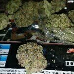 @terry_grimmett - Instagram