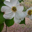 Terry Ann Grisham - @terryanngrisham - Instagram