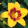 Terri Groover - @terri.groover6 - TikTok