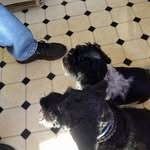 Terry Gums - @terrygums - Instagram