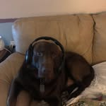Terry Guy - @terryguy51 - Instagram