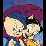 Terry Guzman - @lucythemongoose - Instagram