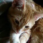Terry Hadden - @thadden66 - Instagram