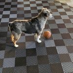 Terry Haddon - @tlh235 - Instagram