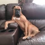 Terri Haight - @theresa.haight - Instagram