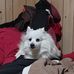 Terry Haight - Facebook