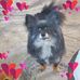 Teresa Halladay - Facebook