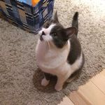 Terry Hamel - @_terry.hamel_ - Instagram