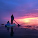 Terry Hampson - @terryahampson - Instagram