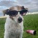 Terry Hampson - Facebook