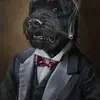 terryhampson856 - @terryhampson856 - TikTok
