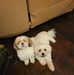 Terry Hanlin - Facebook