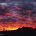 Terry Harbin - Facebook
