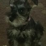 Terri Harbison - @terriharbison638 - Instagram