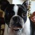 Terry Harbison - Facebook