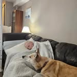Terry Harrington - @terry.harrington.3348 - Instagram