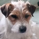 Terry Harrington - @terry.harrington.3994 - Instagram