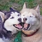 Terry Hartz - @pezlady13 - Instagram