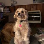Lana Terry Hash - @lanaterryhash - Instagram