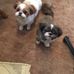 Terry Haus - Facebook