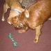 Terry Haus - Facebook