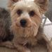 Terry Haus - Facebook