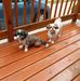 Terry Haus - Facebook