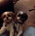 Terry Haus - Facebook