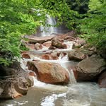 Terri Hauser - @terrilhauser - Instagram