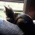 Terry Hauser - Facebook