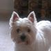 Terry Hawks - Facebook