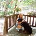 Terry Hawks - Facebook
