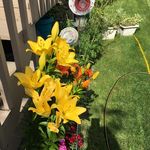 Terry hawks - @hawks_terry - Instagram