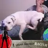Terry Hazel - @terry.hazel52 - TikTok