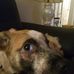 Terry Headrick - Facebook