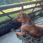 Terry Healey - @terryhealey8 - Instagram
