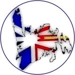 Terry Healey - @terryhealey71 - Instagram
