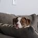 Terry Hedden - Facebook