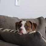Terry Hedden - @terrymark_hedden - Instagram