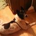 Terry Hedger - Facebook