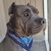 Terrie L Heeter Adams - Facebook