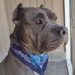 Terrie L Heeter Adams - @tjadam21 - Instagram